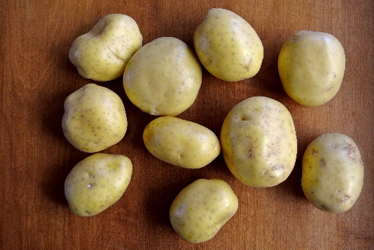 Yukon Gold potatoes are set out on an oak table.