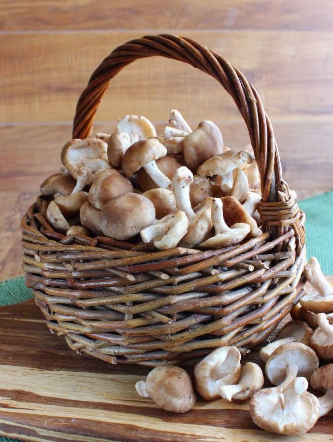 A basketfull of fresh Shiitake mushrooms spilling out onto a wooden cutting board.