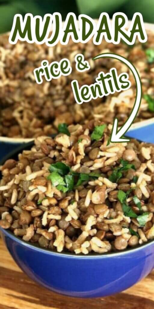 Classic lentils and rice cooked and served in a cobalt bowl with a casserole behins.