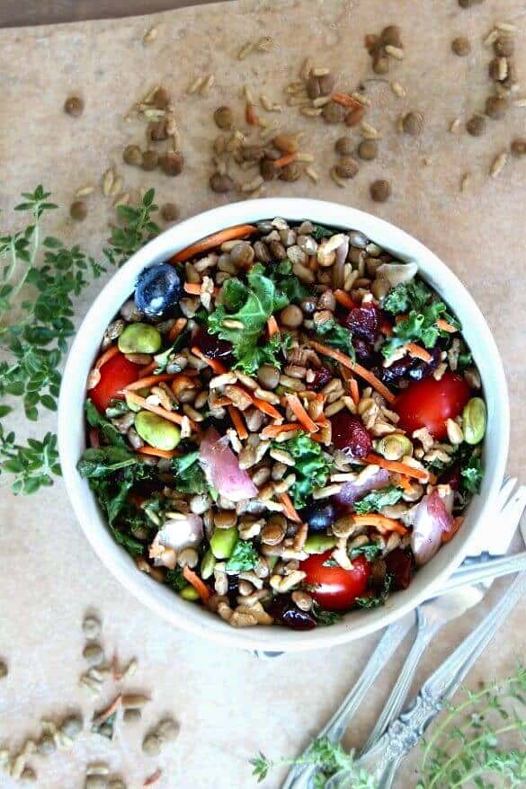 Superfood Salad with Maple Vinaigrette has every color of the rainbow in deep rich shades. Looking down from above with herbs, lentils and rice scattered around.