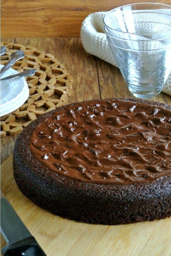 Decadent Vegan Chocolate Torte is a one layer springform pan cake. Chocolate brown rim with thick chocolate frosting on the top with tent dollops.