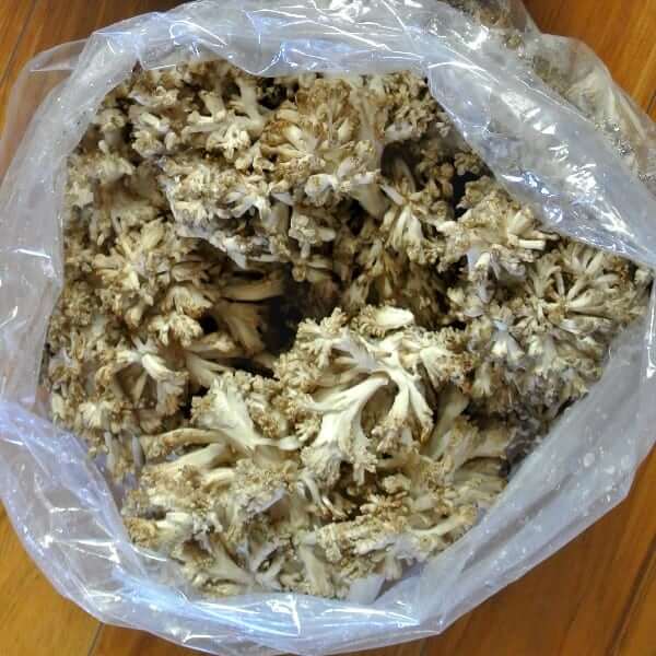 Overhead view of a large bag of fresh mushrooms ordered over the internet.