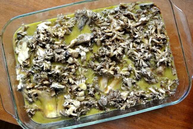 Overhead view of sliced mushrooms marinating in a glass casserole.