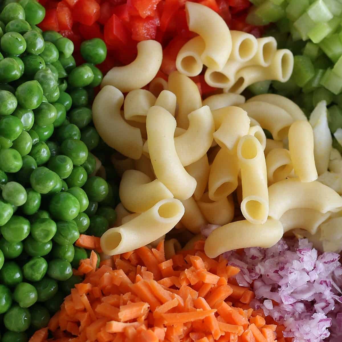 A very closeup photo of prepared veggies with cooked macaroni in the center.