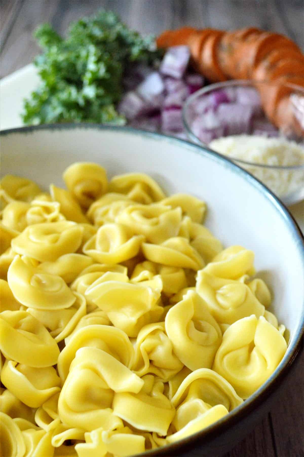 Close up of cooked vegan cheese tortellini with fresh vegetables behind.