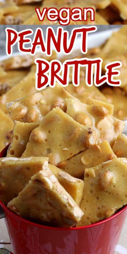 Closeup of a red container filled with peanut brittle pieces.