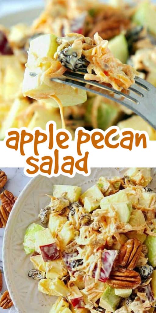 Close up of chopped apple varieties, dairy free cheese, and tossed in dressing.