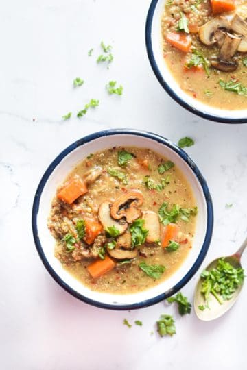 Creamy Quinoa Soup (With Coconut Milk and Mushrooms) – Vegan in the Freezer