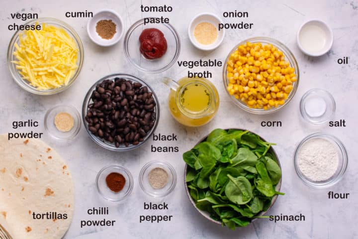 Spinach and Black Bean Enchiladas – Vegan in the Freezer