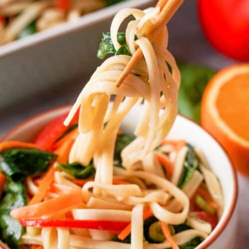 Udon noodle salad ready 4