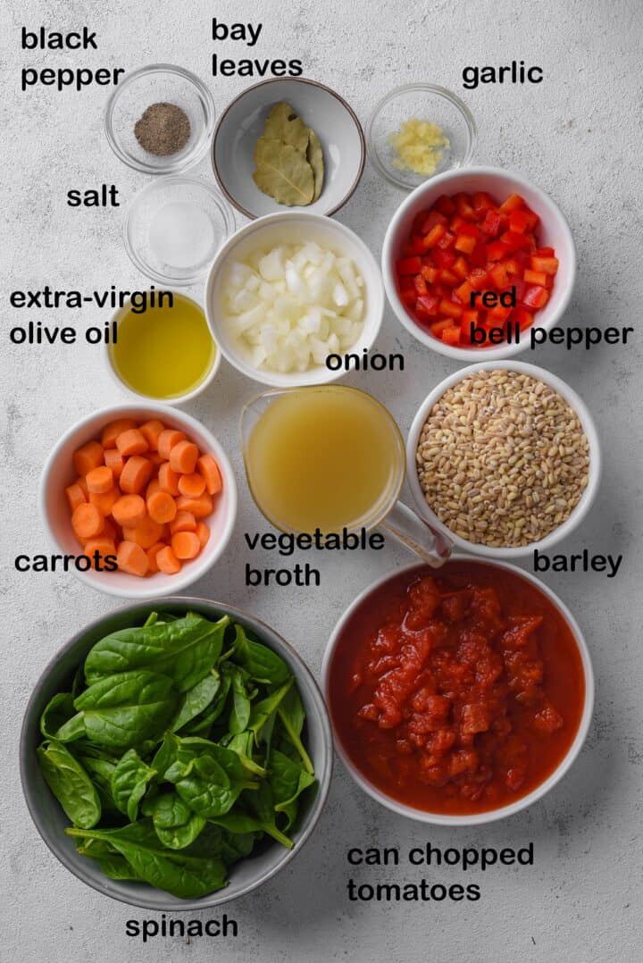 Vegetable Barley Soup Recipe - Vegan in the Freezer